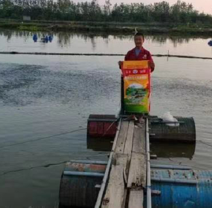 开云apk:再临三亚大东海重温儿时关于海的那份开始回忆